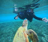 宮古島 ADVENTURE PiPi（ミヤコジマ アドベンチャー ピピ）に投稿された画像（2024/6/17）