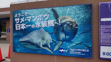 アクアワールド茨城県大洗水族館に投稿された画像（2024/6/17）