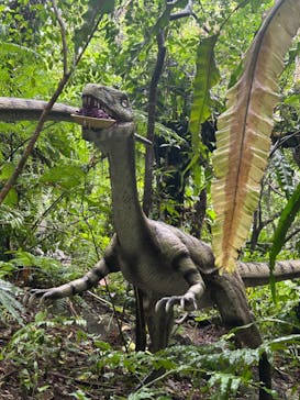 御菓子御殿　名護店　やんばる亜熱帯の森DINO恐竜PARKに投稿された画像（2024/6/17）
