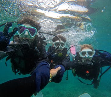 沖縄マリンサービス碧に投稿された画像（2024/6/17）