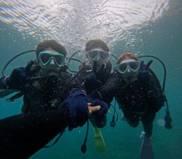 沖縄マリンサービス碧に投稿された画像（2024/6/17）