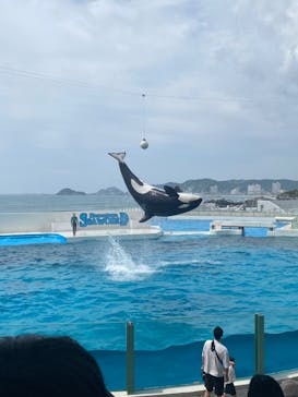 鴨川シーワールドに投稿された画像（2024/6/17）