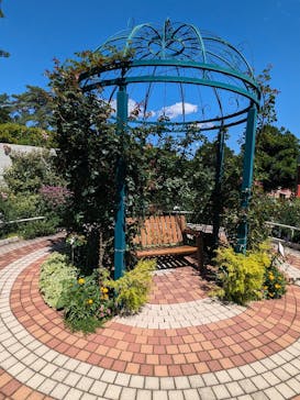 西武園ゆうえんちに投稿された画像（2024/6/17）