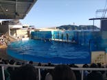 新江ノ島水族館に投稿された画像（2024/6/17）