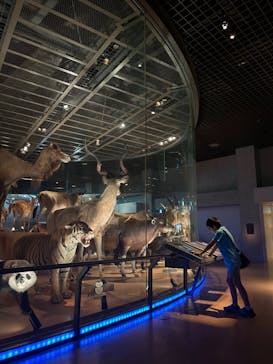 国立科学博物館に投稿された画像（2024/6/17）