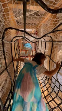 国立科学博物館に投稿された画像（2024/6/17）