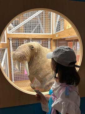 国立科学博物館に投稿された画像（2024/6/17）