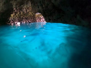 武藤潜水に投稿された画像（2024/6/17）