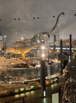 福井県立恐竜博物館に投稿された画像（2024/6/17）