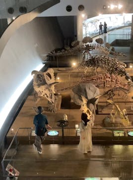 福井県立恐竜博物館に投稿された画像（2024/6/17）