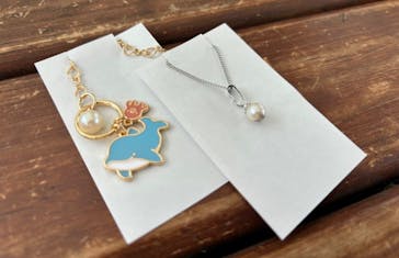 しながわ水族館に投稿された画像（2024/6/17）