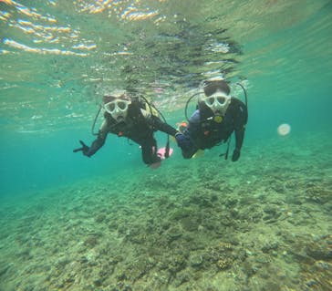 沖縄マリンサービス碧に投稿された画像（2024/6/17）