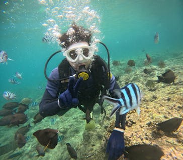 沖縄マリンサービス碧に投稿された画像（2024/6/17）