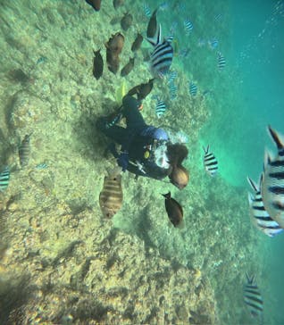 沖縄マリンサービス碧に投稿された画像（2024/6/17）