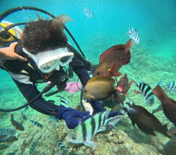 沖縄マリンサービス碧に投稿された画像（2024/6/17）