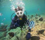 沖縄マリンサービス碧に投稿された画像（2024/6/17）