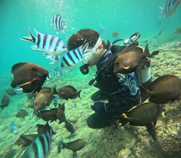 沖縄マリンサービス碧に投稿された画像（2024/6/17）