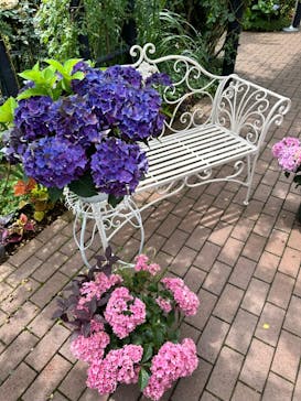 横浜イングリッシュガーデンに投稿された画像（2024/6/17）