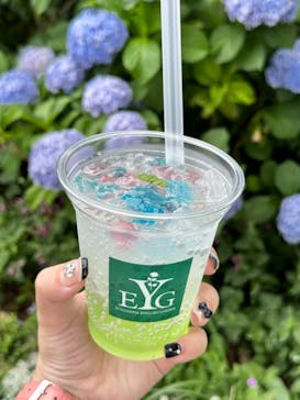 横浜イングリッシュガーデンに投稿された画像（2024/6/17）