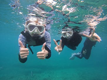 沖縄マリンサービス碧に投稿された画像（2024/6/17）