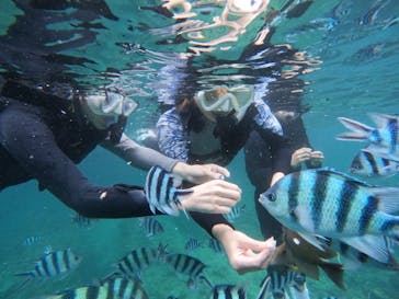 沖縄マリンサービス碧に投稿された画像（2024/6/17）