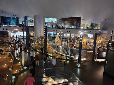 福井県立恐竜博物館に投稿された画像（2024/6/17）