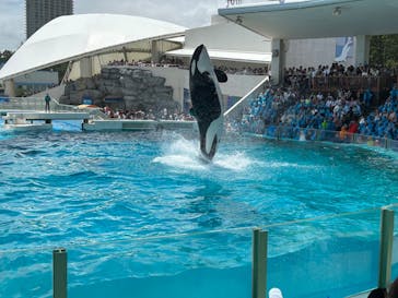 鴨川シーワールドに投稿された画像（2024/6/17）
