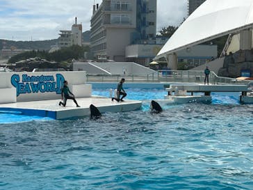 鴨川シーワールドに投稿された画像（2024/6/17）