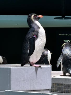 AOAO SAPPOROに投稿された画像（2024/6/17）