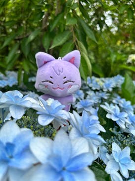 横浜イングリッシュガーデンに投稿された画像（2024/6/17）