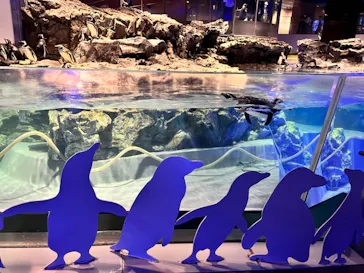 すみだ水族館に投稿された画像（2024/6/17）