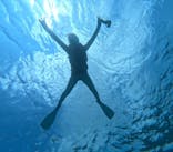 宮古島 ADVENTURE PiPi（ミヤコジマ アドベンチャー ピピ）に投稿された画像（2024/6/17）