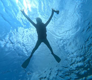 宮古島 ADVENTURE PiPi（ミヤコジマ アドベンチャー ピピ）に投稿された画像（2024/6/17）