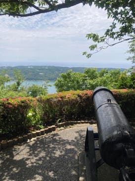 下田ロープウェイに投稿された画像（2024/6/17）