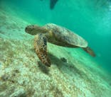 宮古島 ADVENTURE PiPi（ミヤコジマ アドベンチャー ピピ）に投稿された画像（2024/6/17）