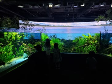 カワスイ 川崎⽔族館に投稿された画像（2024/6/17）