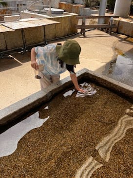 ストーンミュージアム博石館に投稿された画像（2024/6/17）