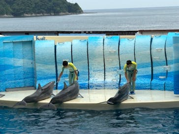新江ノ島水族館に投稿された画像（2024/6/17）