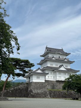 小田原城に投稿された画像（2024/6/17）