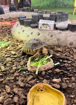 NARA IKIMONO MUSEUMに投稿された画像（2024/6/17）