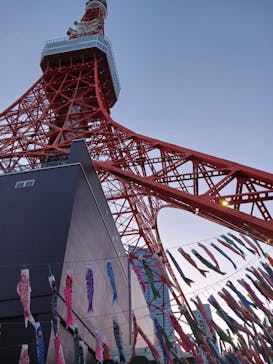 東京タワーに投稿された画像（2024/6/17）