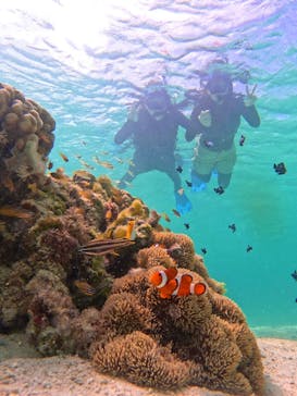 宮古島 ADVENTURE PiPi（ミヤコジマ アドベンチャー ピピ）に投稿された画像（2024/6/17）