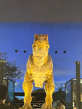 福井県立恐竜博物館に投稿された画像（2024/6/17）