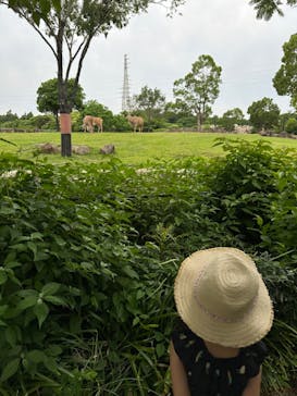 よこはま動物園ズーラシアに投稿された画像（2024/6/17）