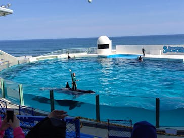 鴨川シーワールドに投稿された画像（2024/6/17）