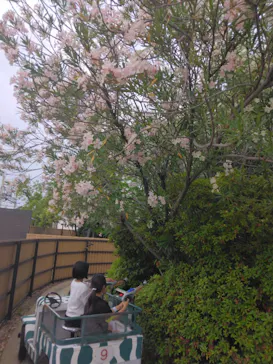 ひらかたパークに投稿された画像（2024/6/17）