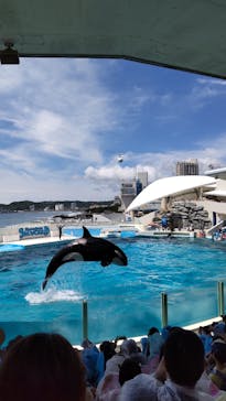 鴨川シーワールドに投稿された画像（2024/6/17）