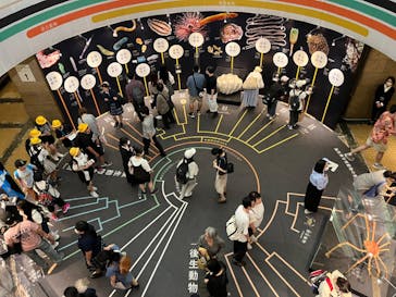 国立科学博物館に投稿された画像（2024/6/17）