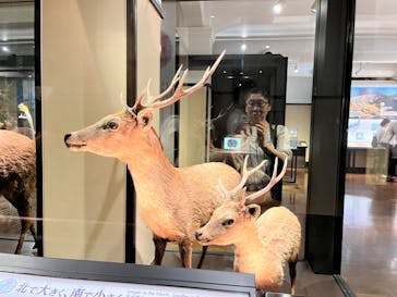 国立科学博物館に投稿された画像（2024/6/17）