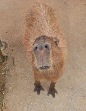 ネオパークオキナワに投稿された画像（2024/6/17）